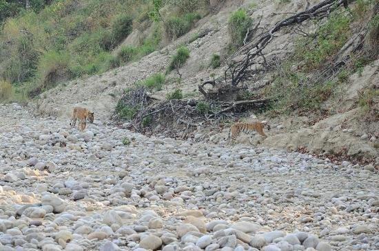 Jim Corbett Resort Рамнаґар Екстер'єр фото