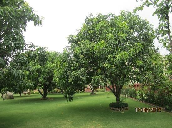 Jim Corbett Resort Рамнаґар Екстер'єр фото